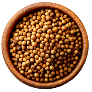 Coriander